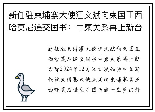 新任驻柬埔寨大使汪文斌向柬国王西哈莫尼递交国书：中柬关系再上新台阶