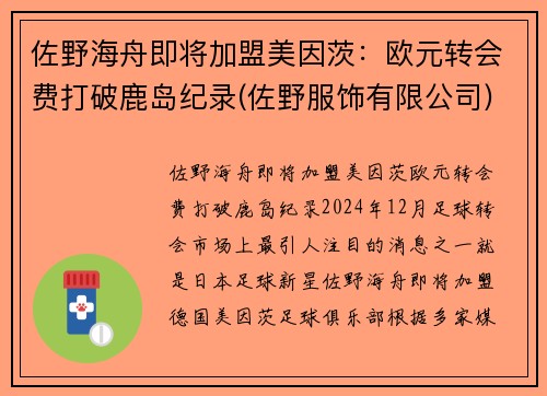 佐野海舟即将加盟美因茨：欧元转会费打破鹿岛纪录(佐野服饰有限公司)