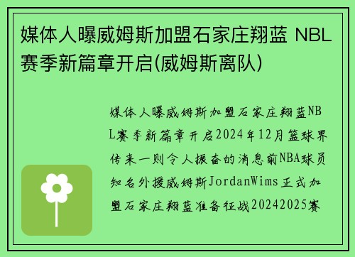 媒体人曝威姆斯加盟石家庄翔蓝 NBL赛季新篇章开启(威姆斯离队)